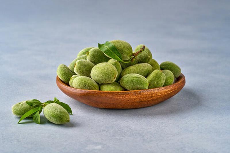 سوالات متداول درباره چغاله بادام