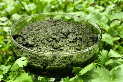 طرز تهیه سبزی دلار (نمک سبز شمالی) خانگی با طعم اصیل