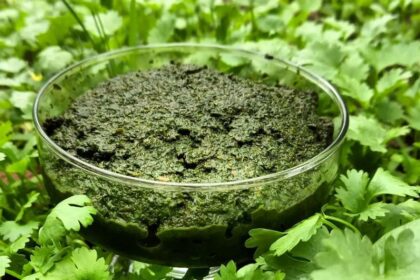 طرز تهیه سبزی دلار (نمک سبز شمالی) خانگی با طعم اصیل