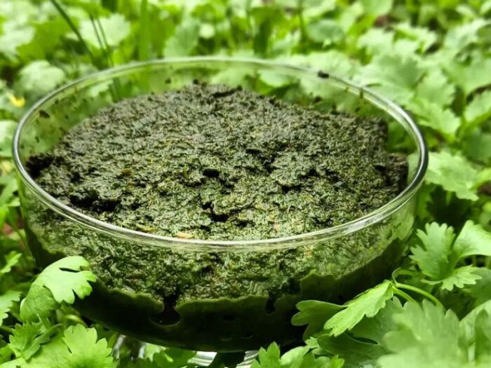 طرز تهیه سبزی دلار (نمک سبز شمالی) خانگی با طعم اصیل