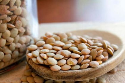 حبوبات برای لاغری؛ چرا عدس برای کاهش وزن انتخاب خوبیه