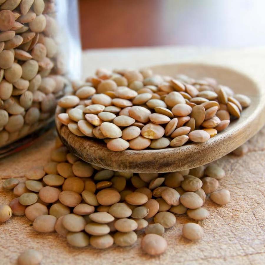 حبوبات برای لاغری؛ چرا عدس برای کاهش وزن انتخاب خوبیه
