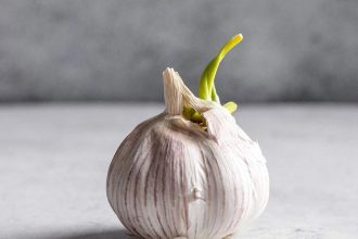 جلوگیری از پوک شدن سیر؛ ۵ ترفند طلایی و خانگی برای ماندگاری ۱ ساله