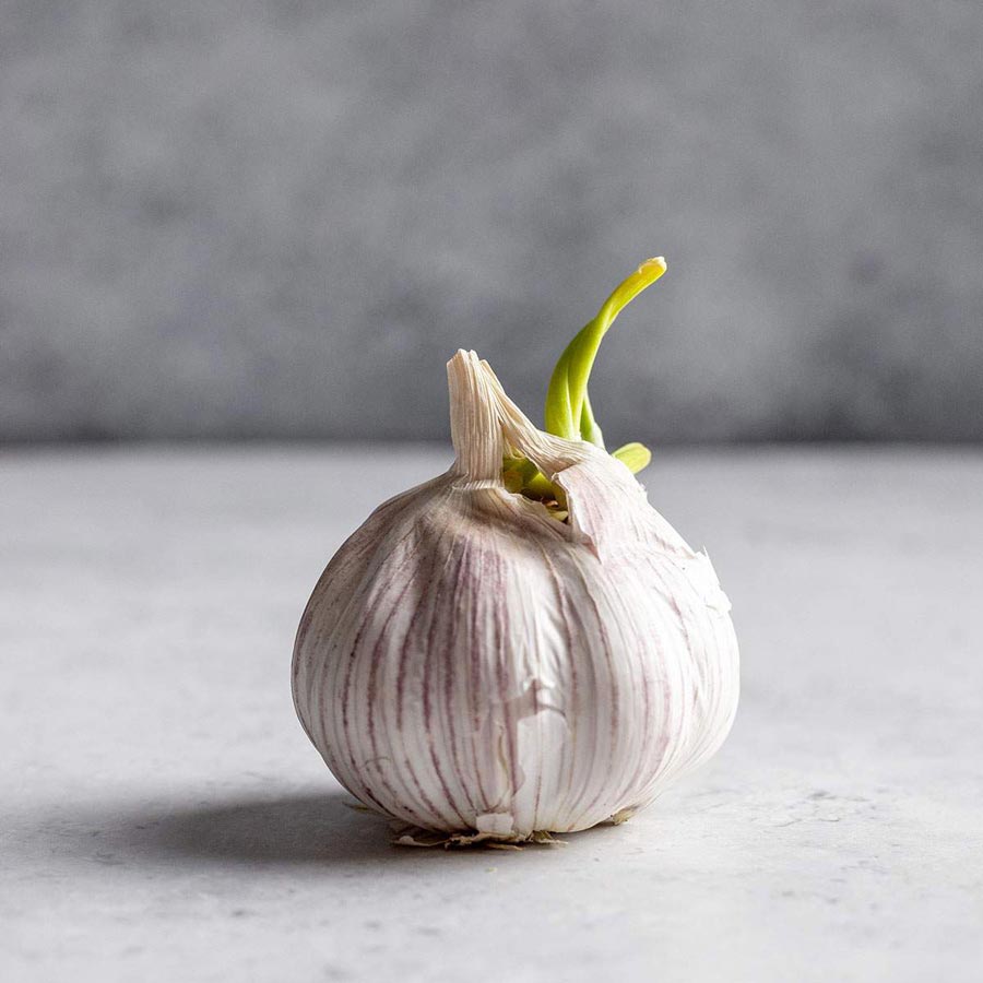 جلوگیری از پوک شدن سیر؛ ۵ ترفند طلایی و خانگی برای ماندگاری ۱ ساله